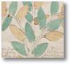 Alternierende Blattfarben im Voynich-Manuskript